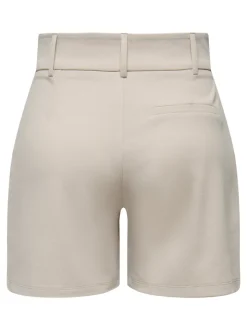 JDYGEGGO Regular Fit Shorts