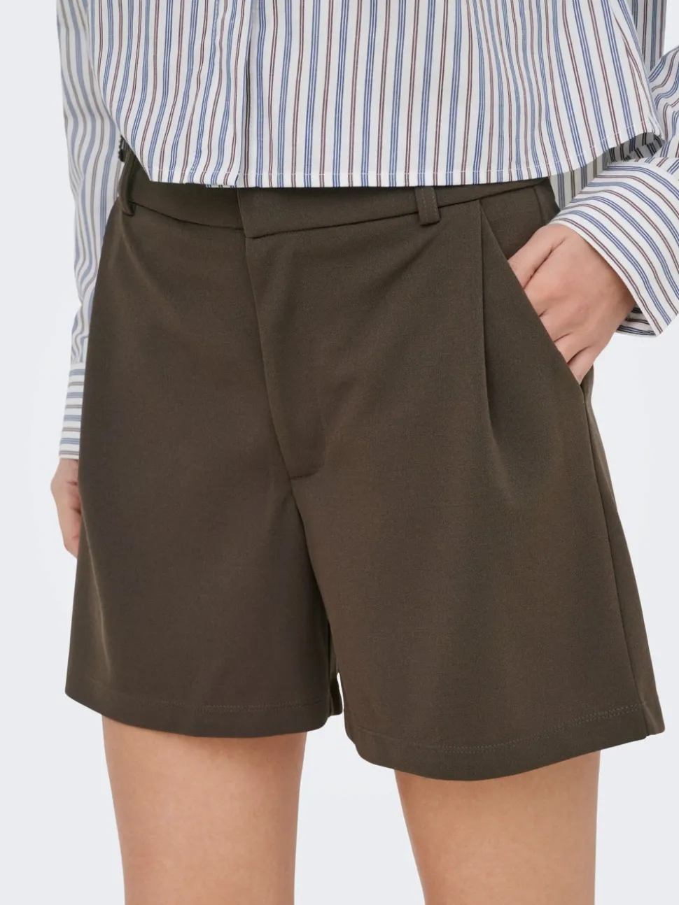 JDYGEGGO Regular Fit Shorts