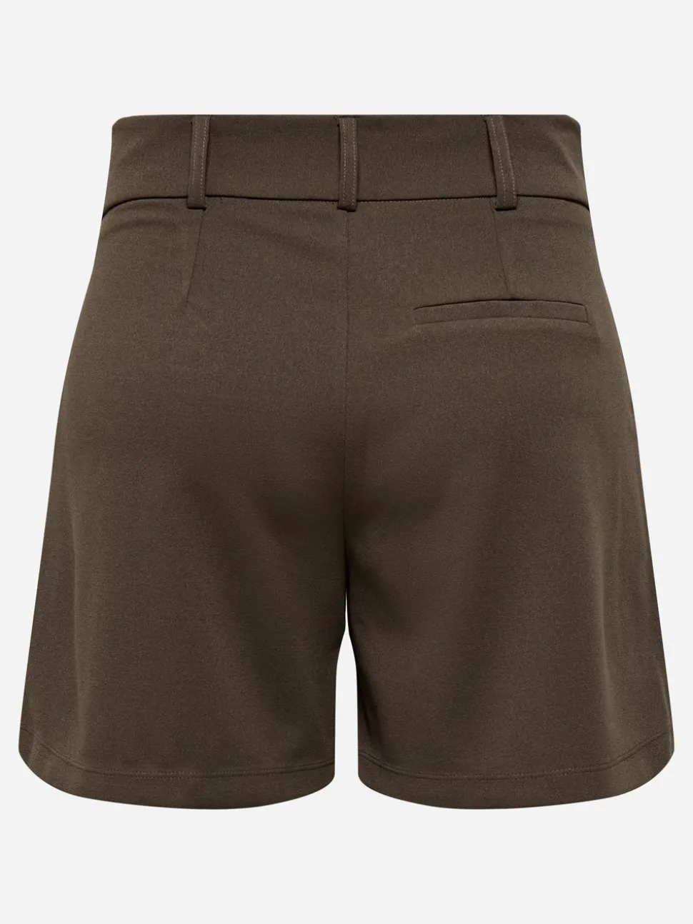 JDYGEGGO Regular Fit Shorts
