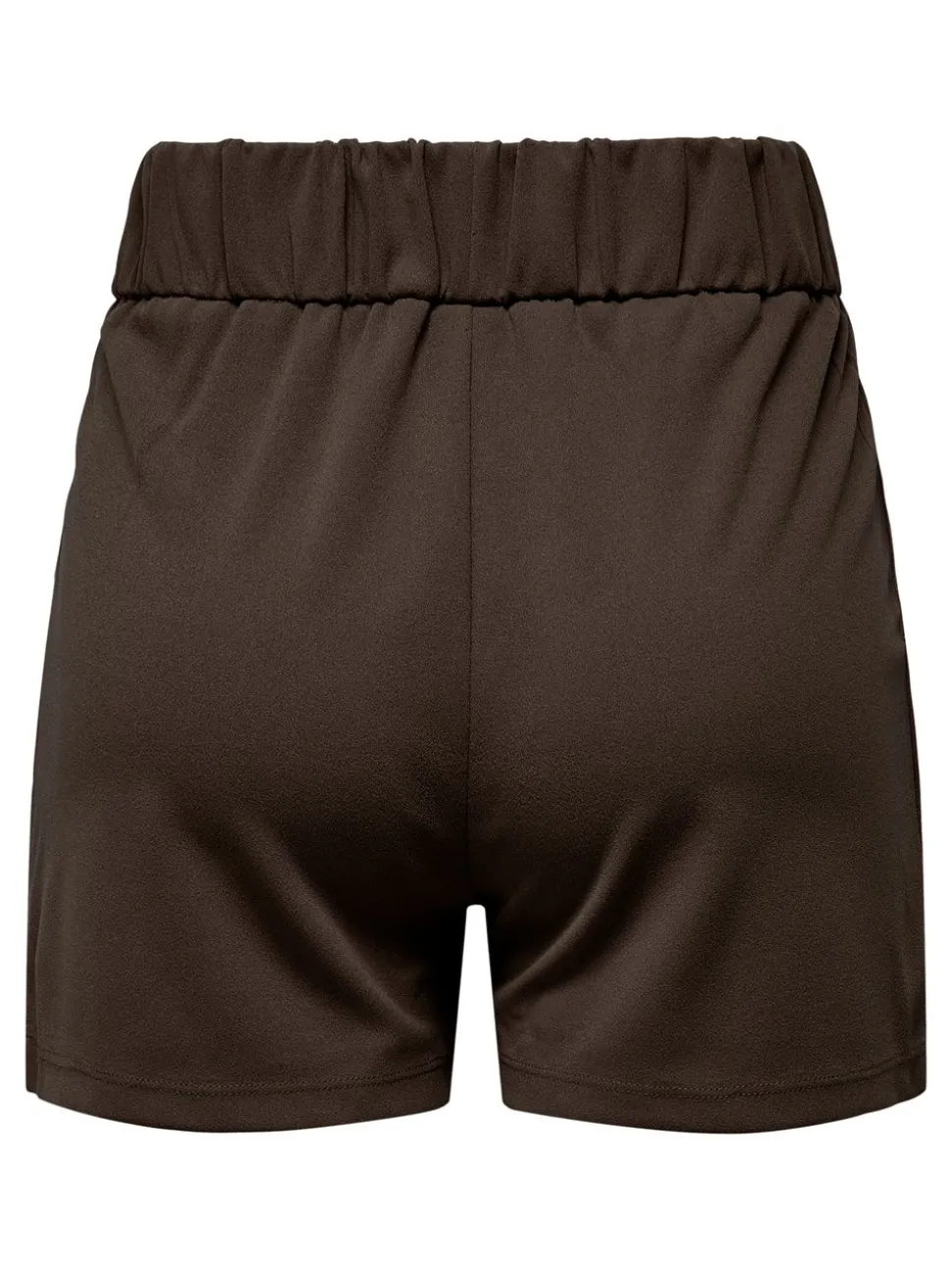 JDYGEGGO Regular Fit Shorts