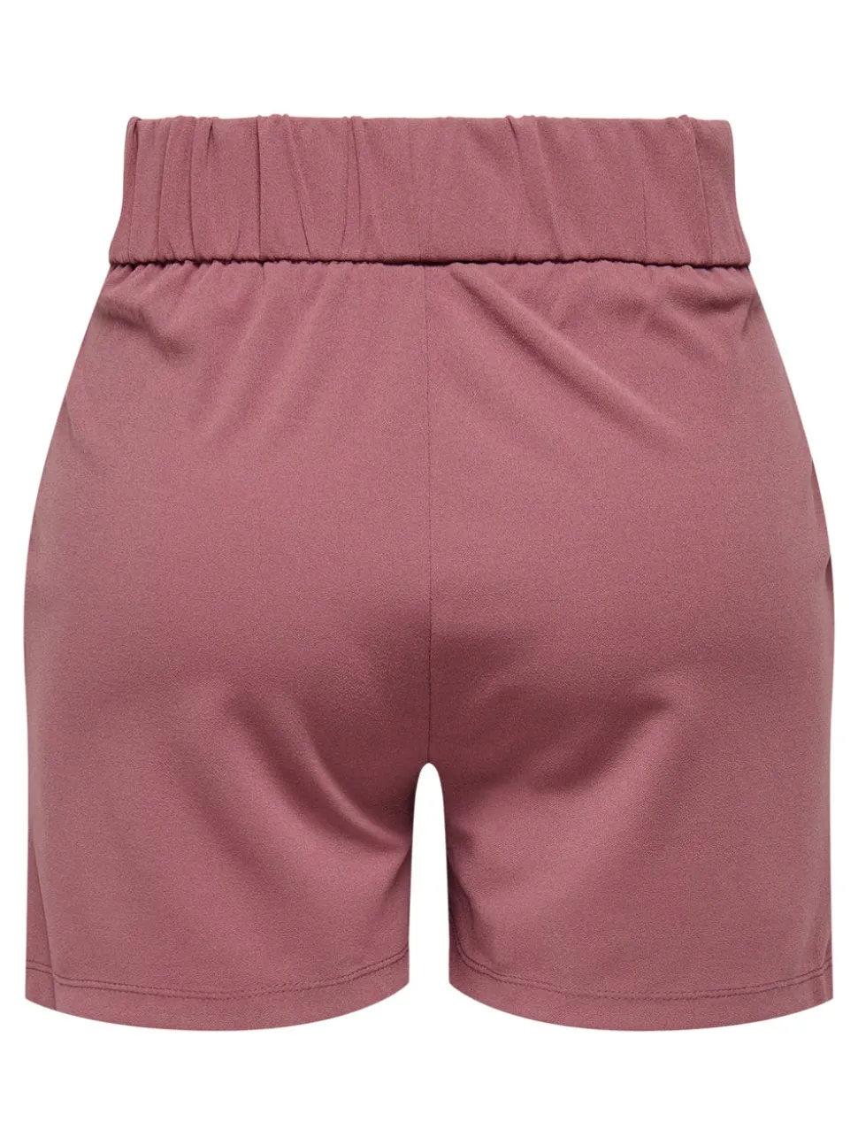 JDYGEGGO Regular Fit Shorts