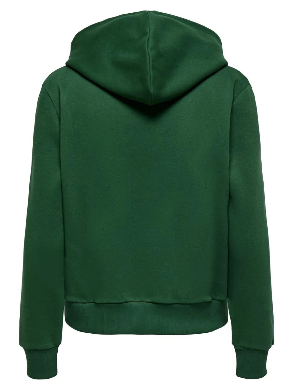 ONLNOLI Sweatshirt